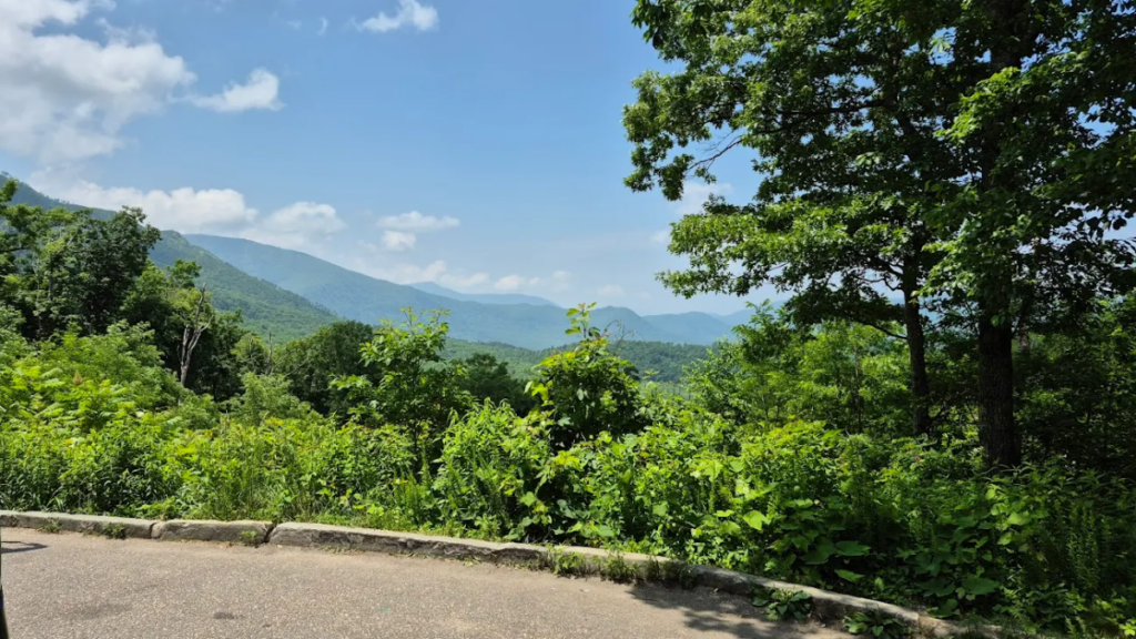 13 Fairytale Forests in Tennessee You'll Want to Wander Through