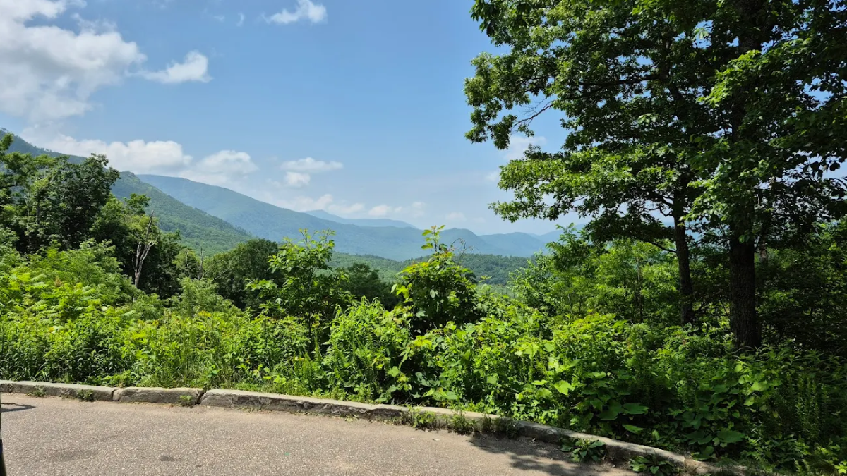 13 Fairytale Forests in Tennessee You'll Want to Wander Through