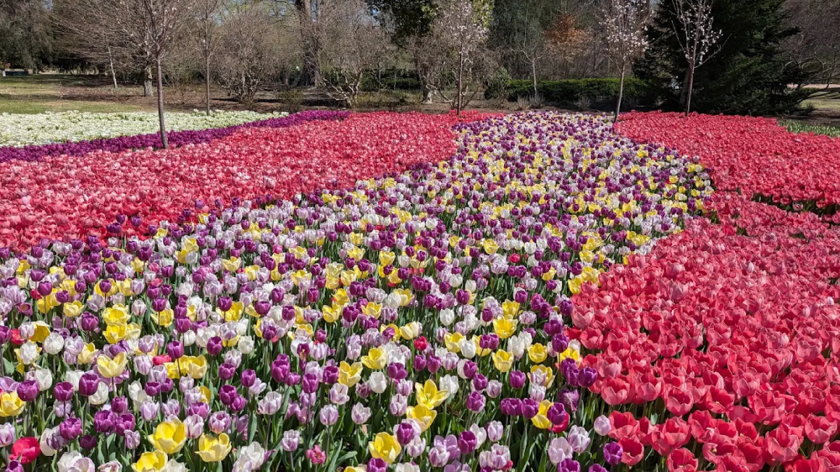 13 Flower-Filled Tennessee Places That Burst Into Color Every Spring