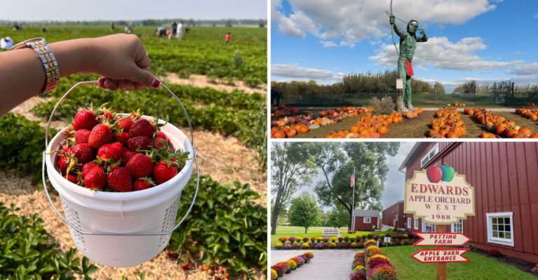 13 Must-Visit Illinois Farms Where You Can Pick Your Own Fresh Produce in 2026