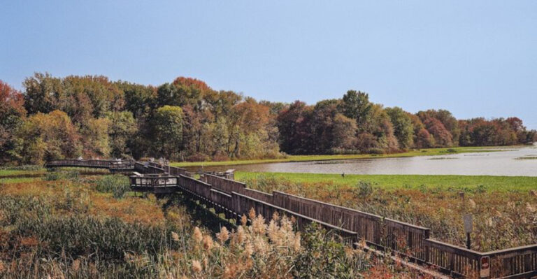 13 Pennsylvania Bird-Watching Spots That Come Alive During Spring Migration
