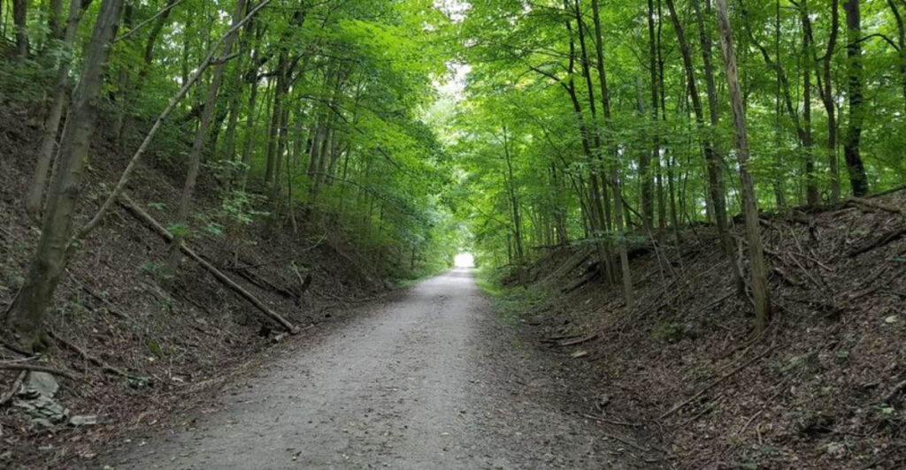 13 Pennsylvania Rail Trails Perfect For Scenic Cycling And Peaceful Walks