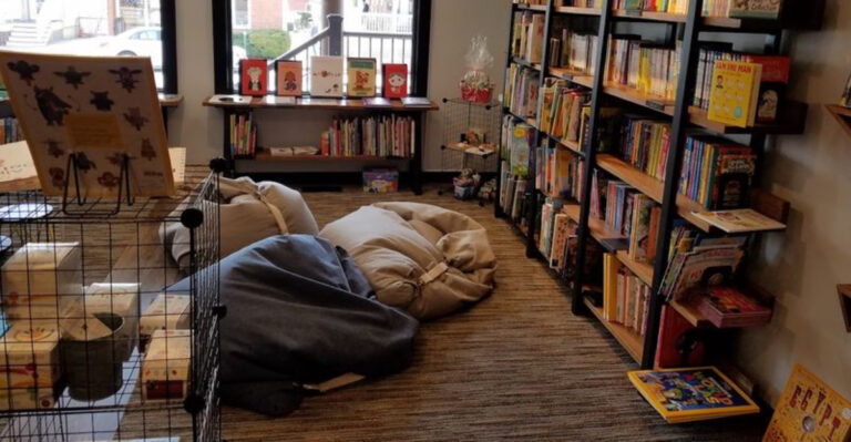 14 New Jersey Reading Cafes Where You Can Turn Pages and Sip Lattes For Hours