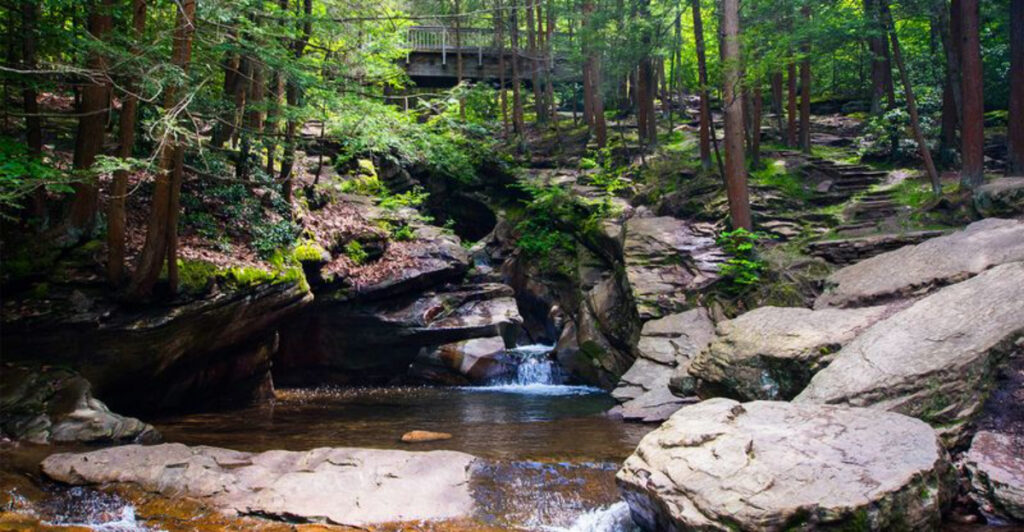 14 Pennsylvania Forests That Feel Like Hidden Fairytale Realms