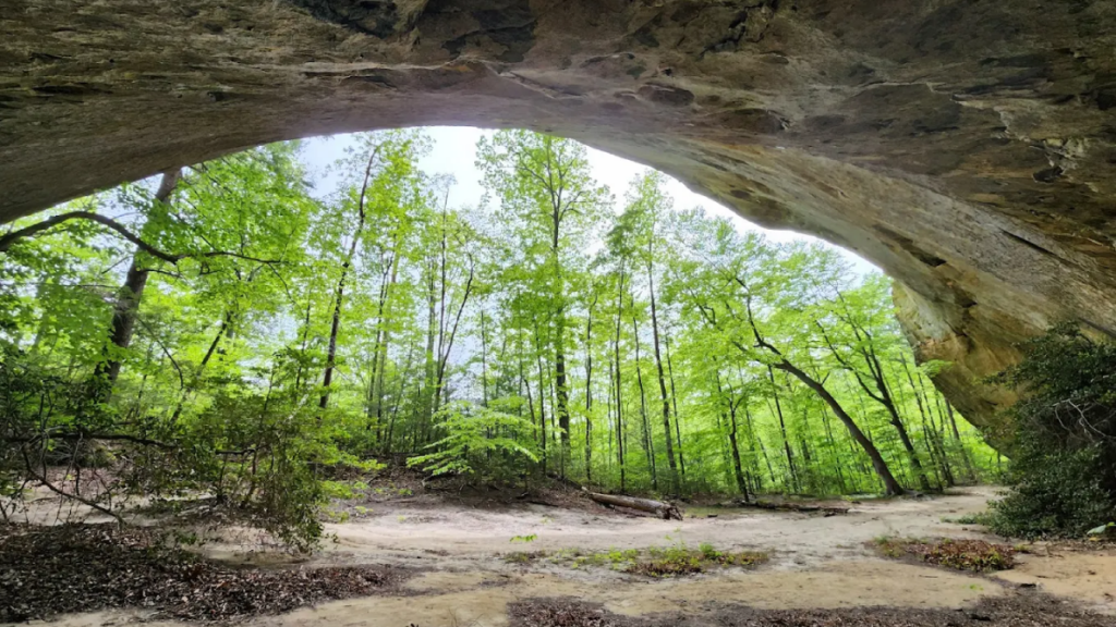 15 Hidden Gems in Tennessee That Feel Like Your Own Private Paradise