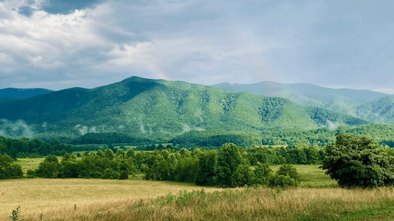 15 Tennessee Places Where Nature Completely Steals the Spotlight
