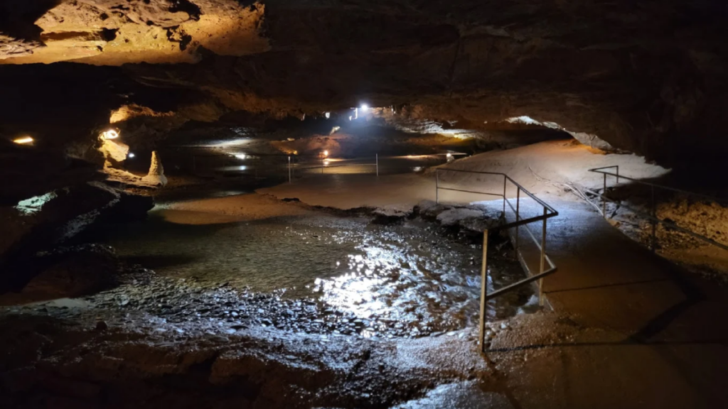 15 Underrated Tennessee Destinations That Out-of-Towners Will Love
