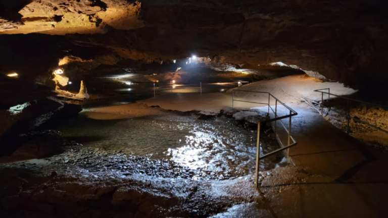15 Underrated Tennessee Destinations That Out-of-Towners Will Love