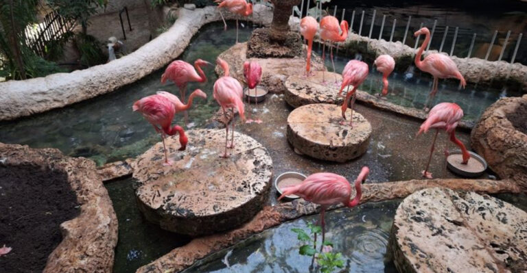 15 Amazing Indoor Attractions In Texas That Are Anything But Boring