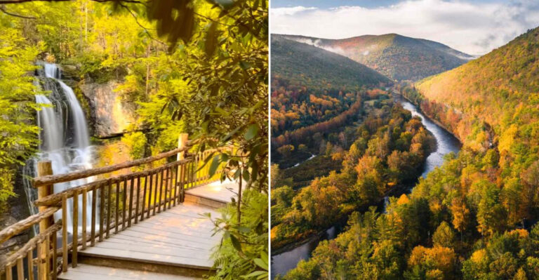 15 Pennsylvania Road Trip Stops Bursting With Color In Every Season