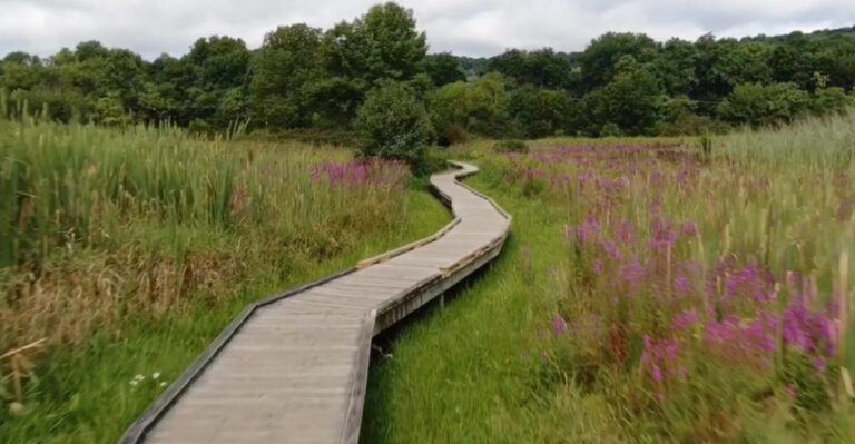 15 Relaxed, Low-Effort New Jersey Walks That Still Feel Like An Adventure