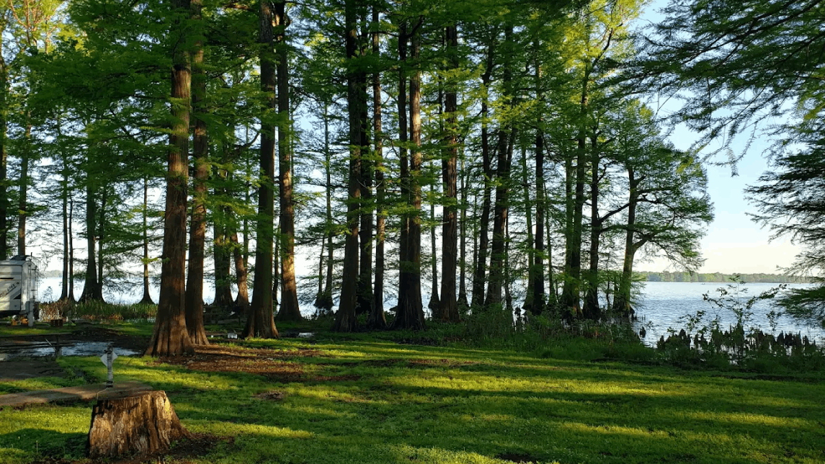 16 Tennessee Getaways That Deliver Big Memories on a Small Budget