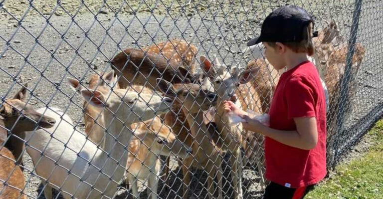 17 Amazing Animal Encounters In New Jersey To Bring Your Kids To