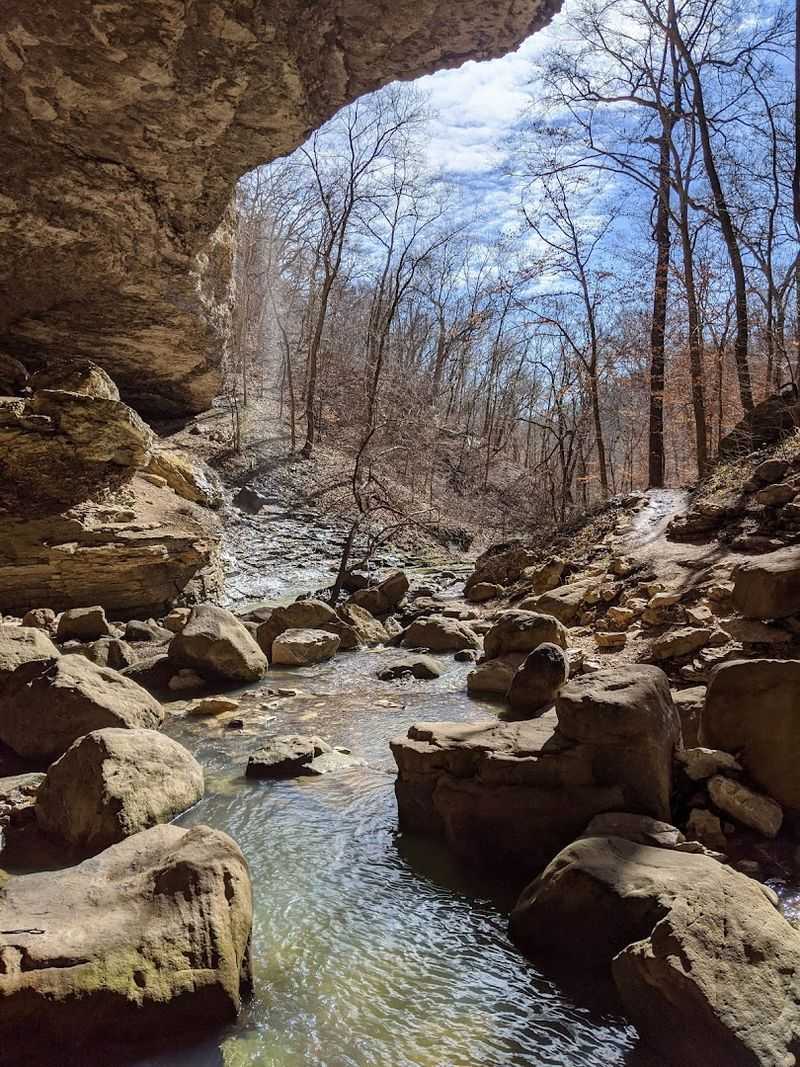 Why This Arkansas Trail Works for Different Kinds of Hikers Why This Arkansas Trail Works for Different Kinds of Hikers