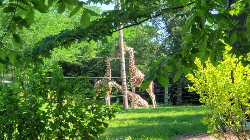 Fort Wayne Children’s Zoo (Fort Wayne)