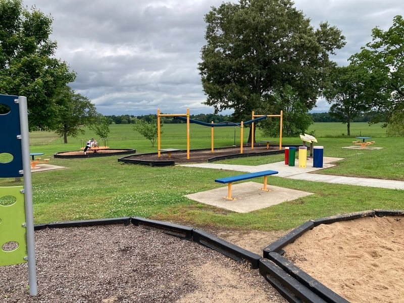 The Local Rhythm: Parks, Conversations, and Everyday Life