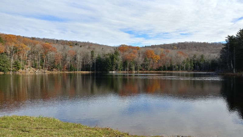 October Mountain State Forest (Lee)