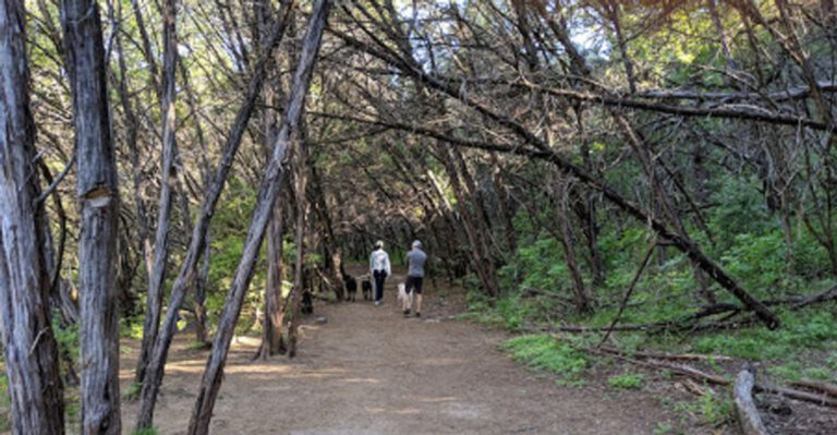 5 Dog-Friendly Hikes in Texas Your Pup Will Absolutely Love