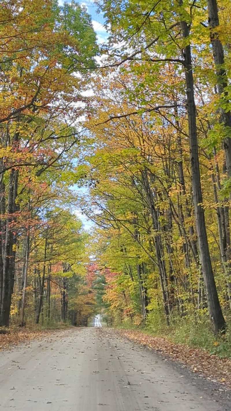Finger Lakes National Forest (Finger Lakes Region)