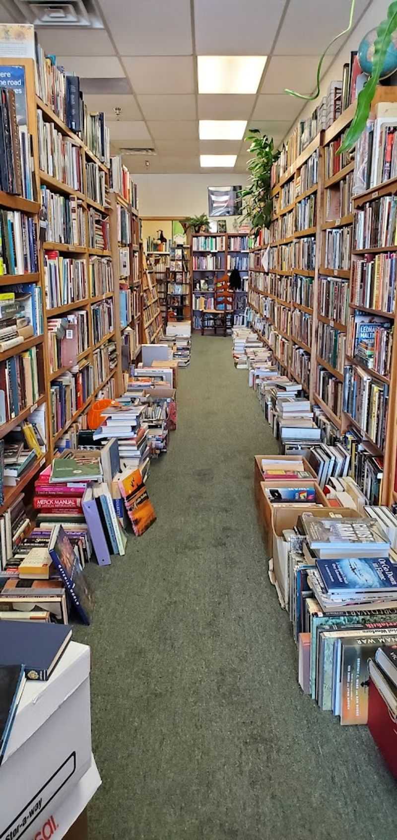 Why This Bookstore Lingers in Your Head