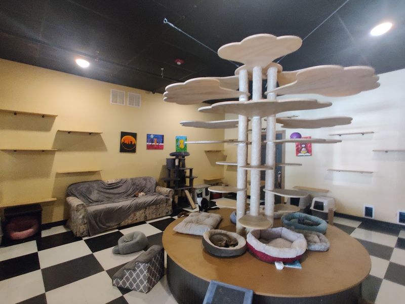 The Lounge Everyone Comes For