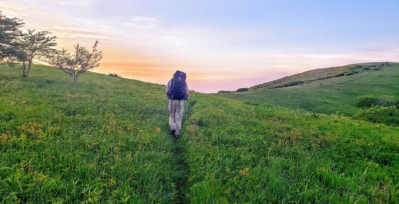 Roan Mountain Section of the Appalachian Trail (Roan Highlands)