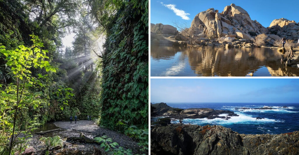 8 Beautiful California Hikes Under 5 Miles That Families Absolutely Love