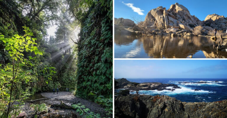 8 Beautiful California Hikes Under 5 Miles That Families Absolutely Love