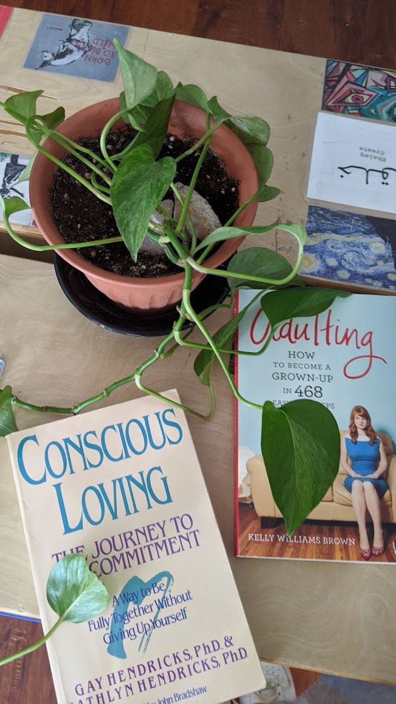 Cats, Plants, and Other Details That Change the Mood