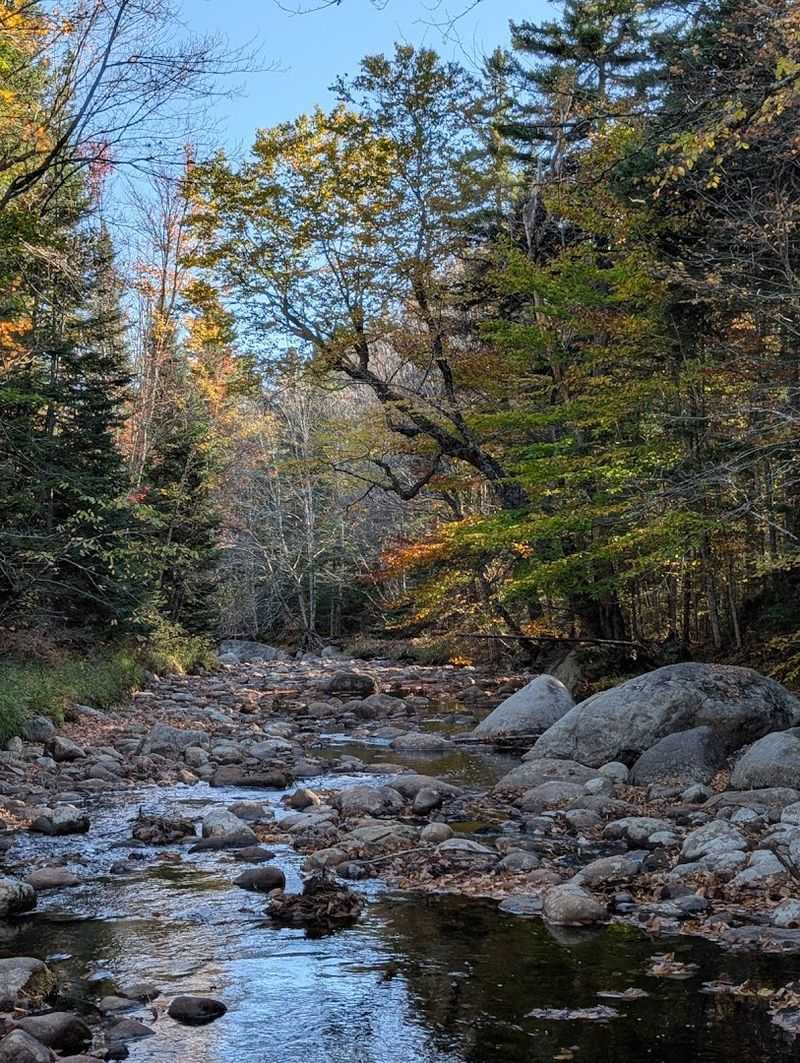 Moose River Plains Wild Forest (Adirondacks)