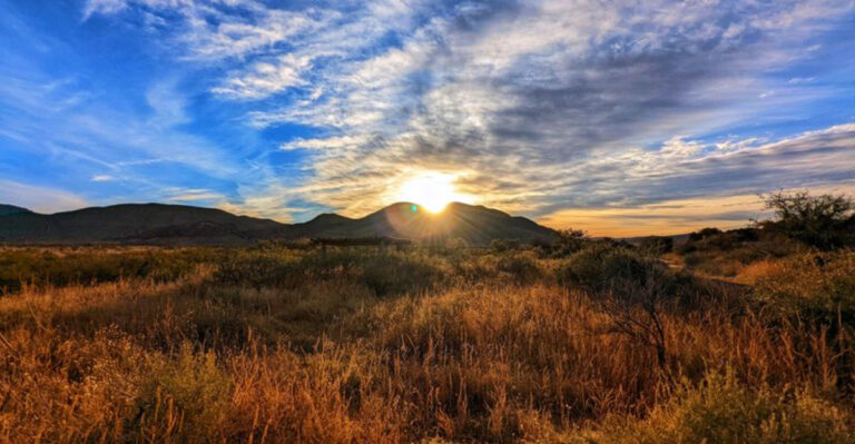 9 Short Texas Road Trips You Can Do in Less Than 3 Hours