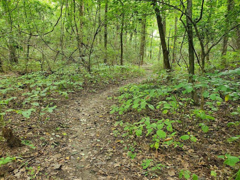 A 1,600-Acre Tennessee Escape Hiding Right Inside Memphis