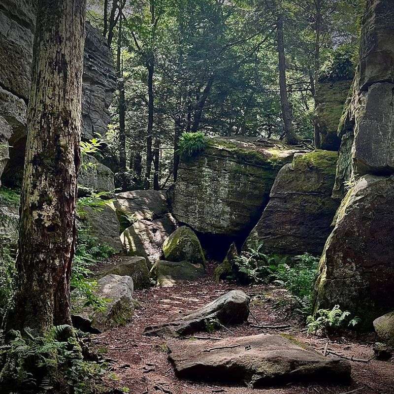 A 300-Million-Year-Old Rock Maze
