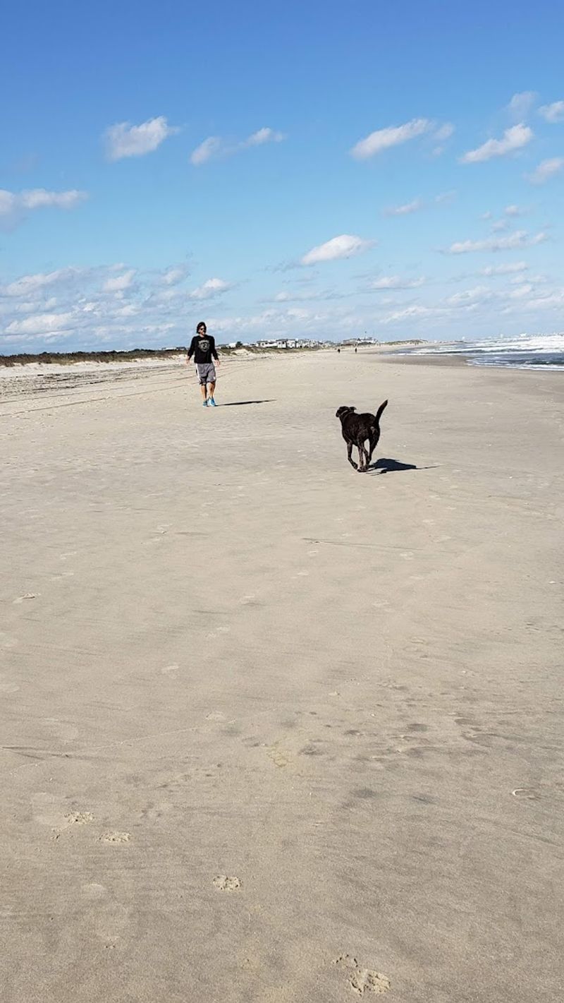 A Beach Made for Wandering Instead of Crowds A Beach Made for Wandering Instead of Crowds