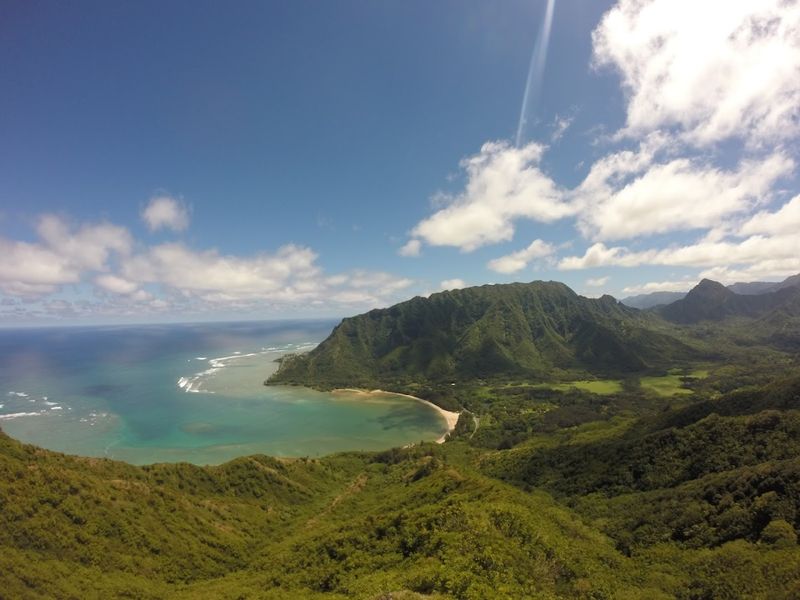 A Beachfront Campsite With a Wild Side