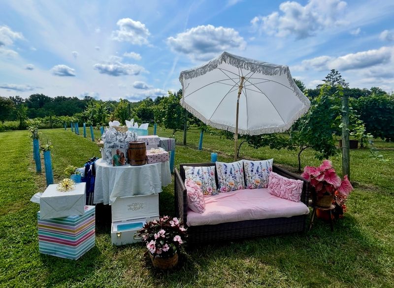 A Beautiful Backdrop for Slow Afternoons and Special Events A Beautiful Backdrop for Slow Afternoons and Special Events