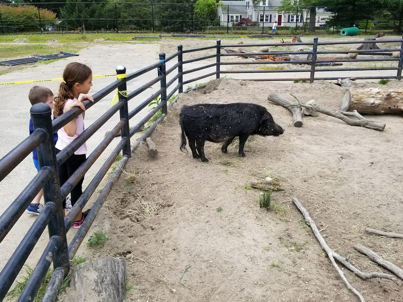A Budget-Friendly Massachusetts Outing
