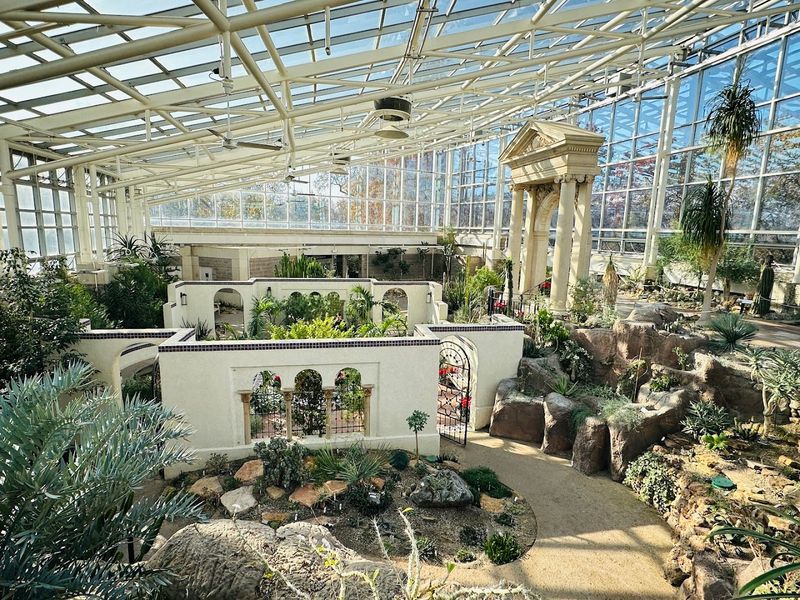 A Desert Surprise in St. Louis
