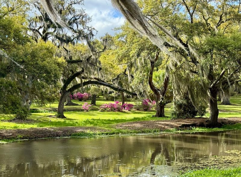 A Fairytale Drive Through 200 Acres of Louisiana Beauty