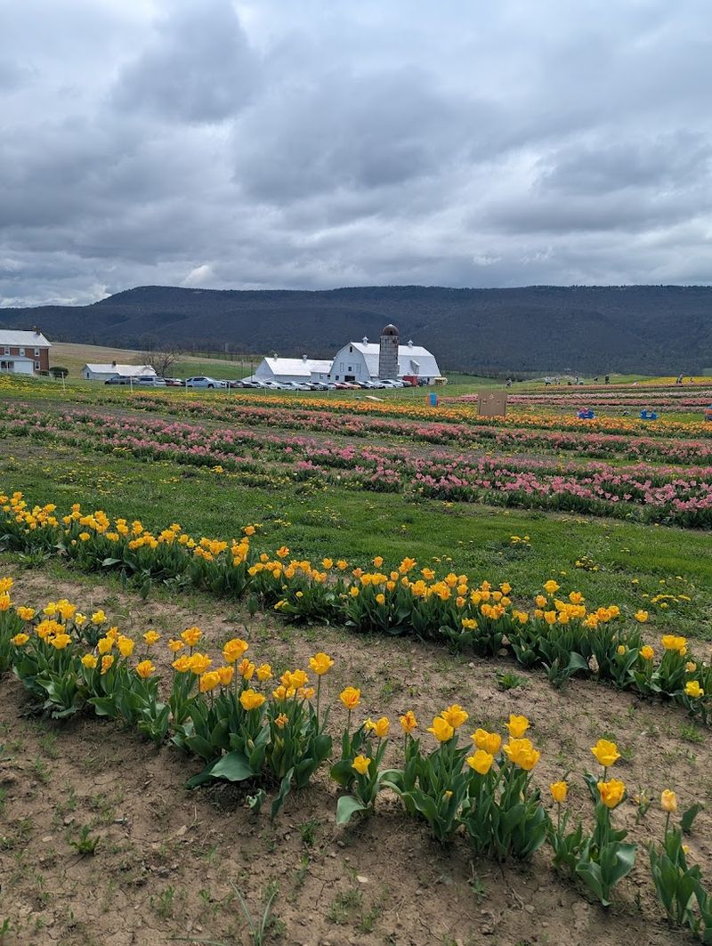 A Family-Friendly Spring Outing