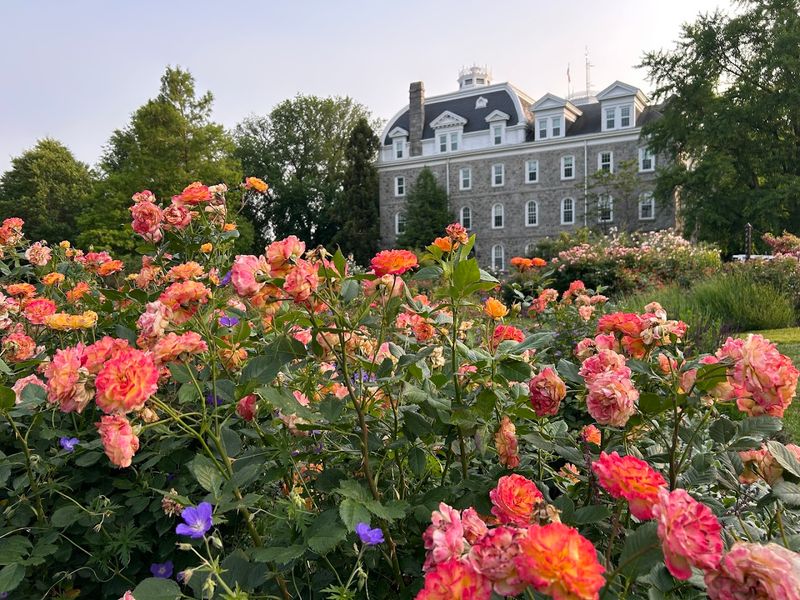 A Few Smart Tips Can Make Your Visit Even Better