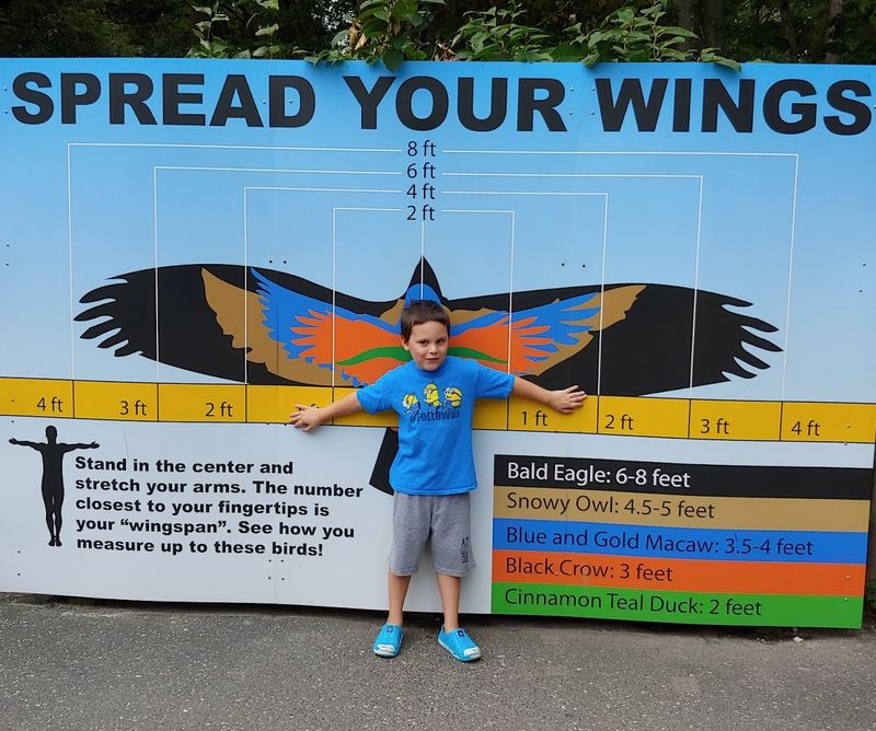 A Few Tips Before You Visit With Kids
