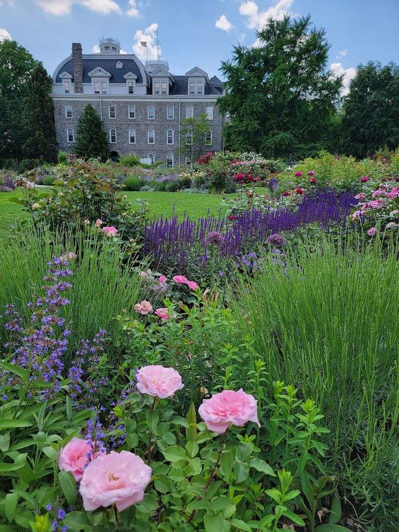 A Free Garden Escape On A Beautiful College Campus