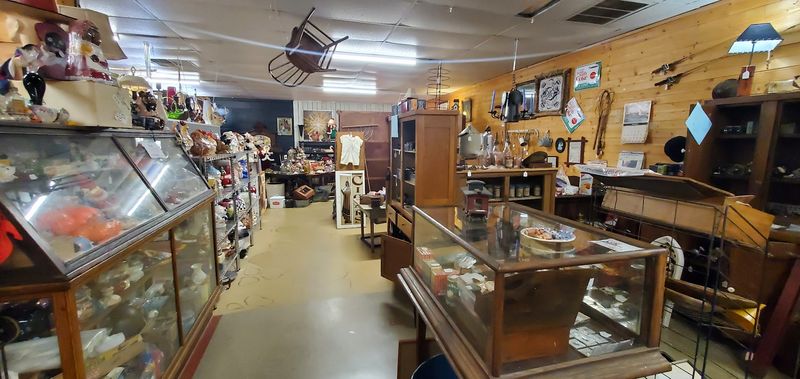 A Fun Stop for Collectors, Decor Lovers, and Casual Browsers Alike