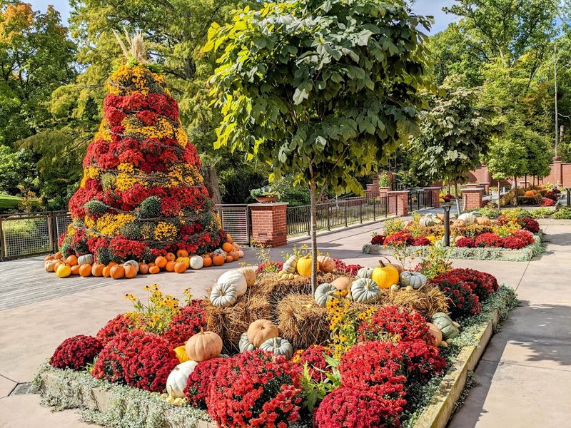 A Garden That Changes With the Seasons