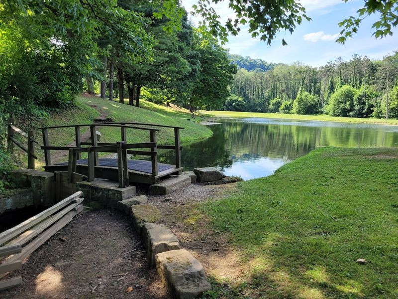 A Great Place for Fishing, Picnics, and Slow Family Days