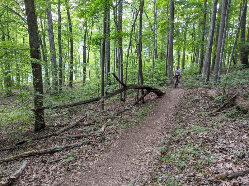 A Hidden East Tennessee Escape Tucked Away In Sharps Chapel