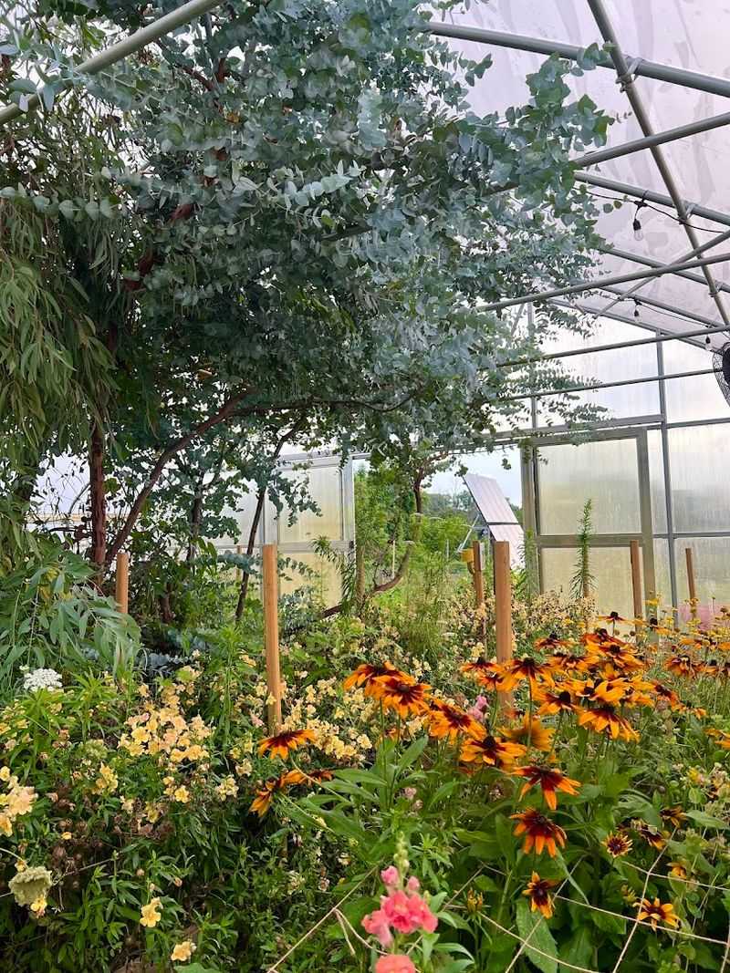 A Hidden Escape Tucked Into Glen Mills
