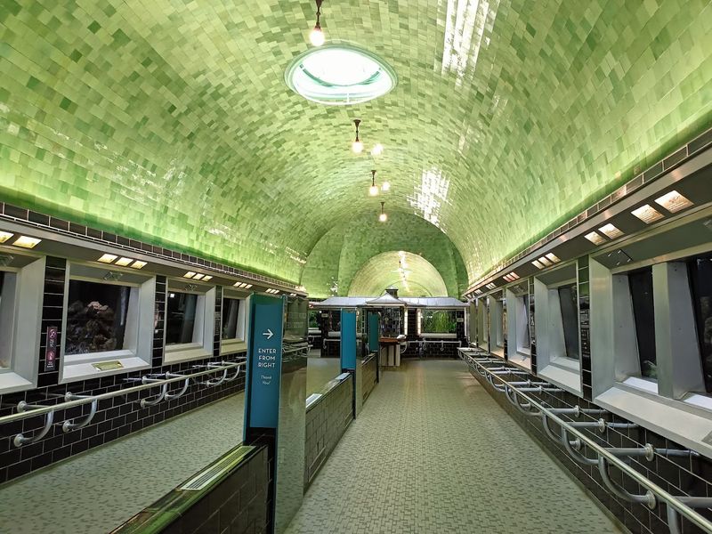 A Historic Building That Feels Like Stepping Underwater A Historic Building That Feels Like Stepping Underwater
