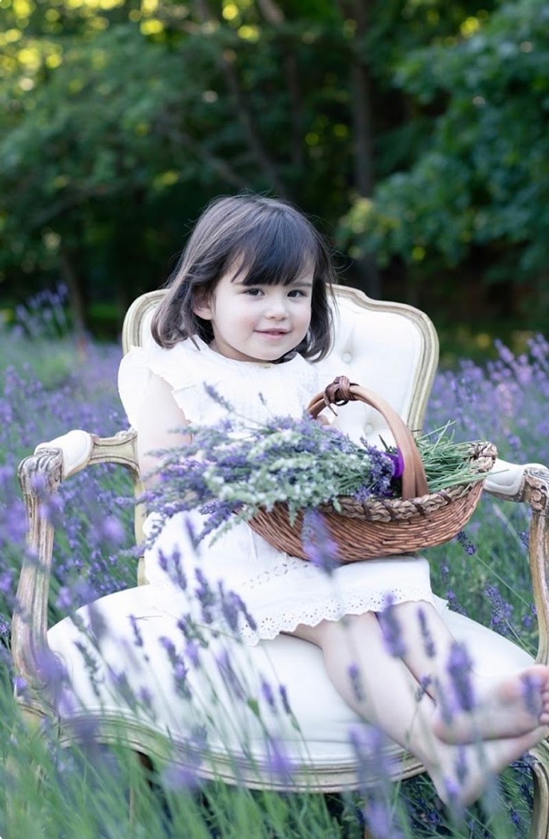 A Little Slice of Provence Hidden in Morganville A Little Slice of Provence Hidden in Morganville